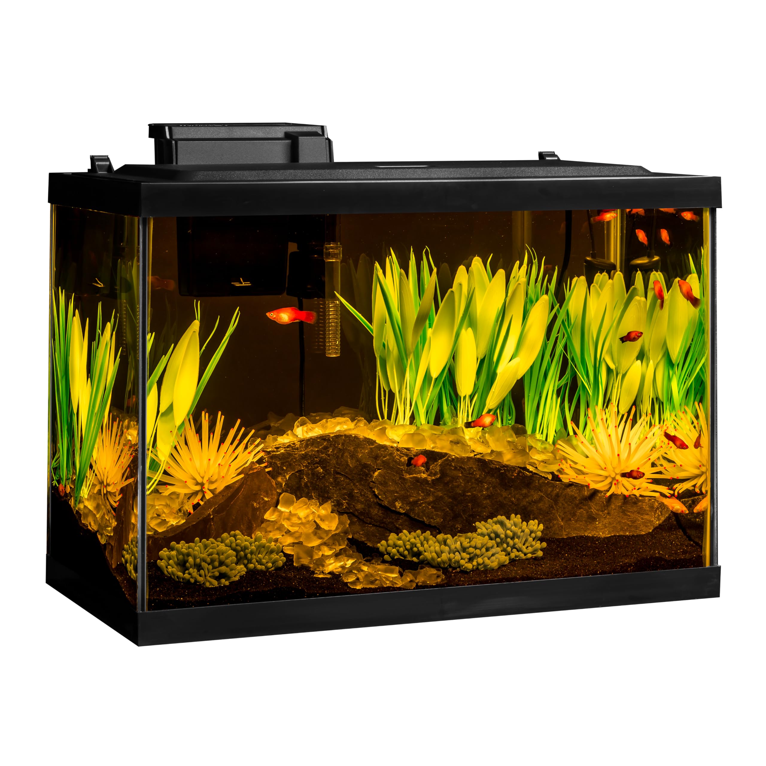 Amazon.com: Tetra: Environments